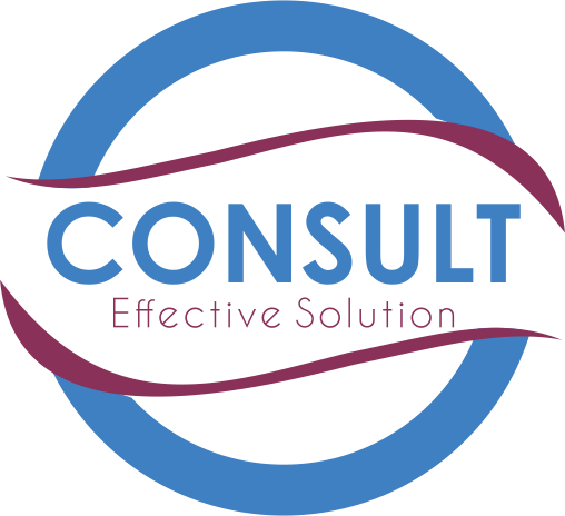 Consult-ES, Консалтинговая компания
